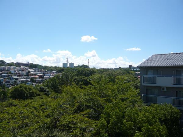 View photos from the dwelling unit. View from the site (August 2012) shooting