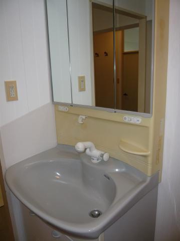 Wash basin, toilet. Basin is the vanity of the shower.