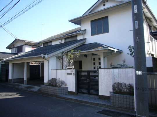 Local land photo. Appearance (1)