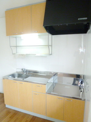 Kitchen. It is very beautiful and stylish kitchen