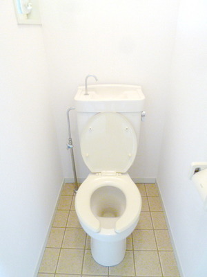 Toilet. Clean toilet