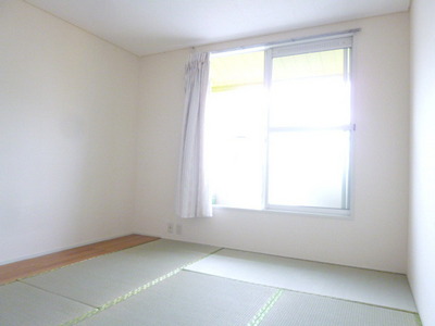 Living and room. Sunny Japanese-style room