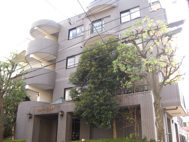 Entrance. Day is good.