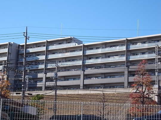 Local appearance photo