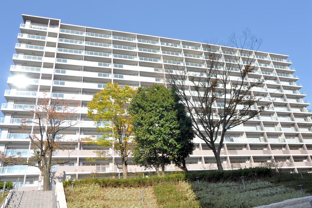 Local appearance photo. Indoor (11 May 2013) Shooting