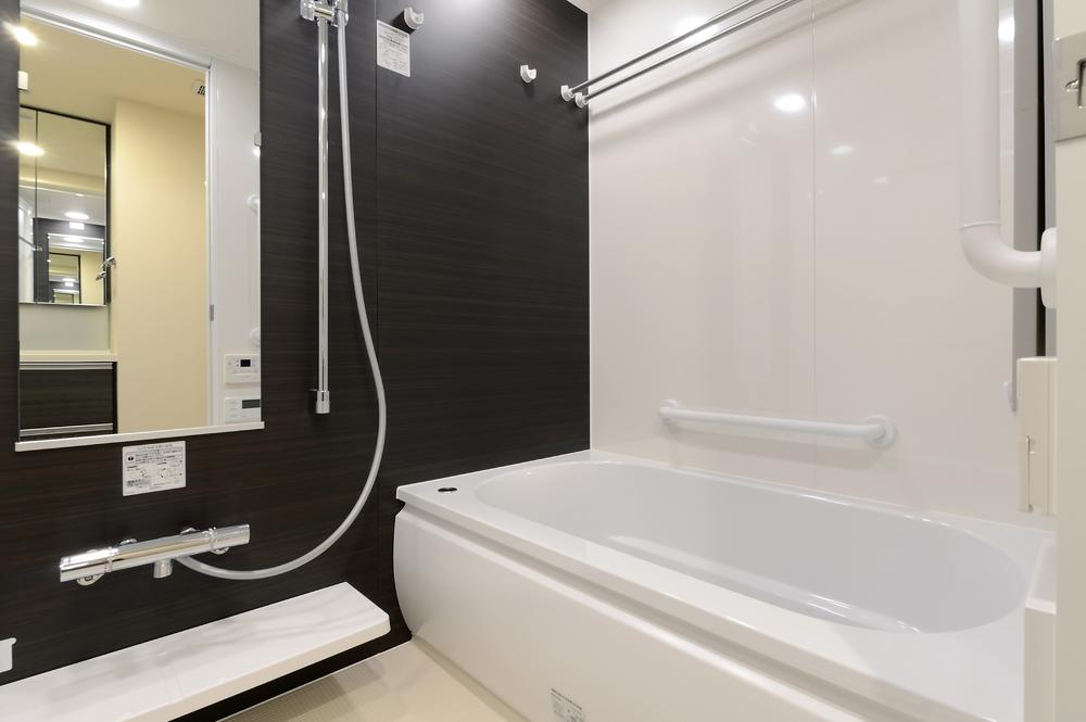 Bathroom. Indoor (11 May 2011) Shooting