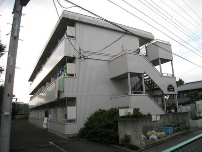 Building appearance. Mansion Type