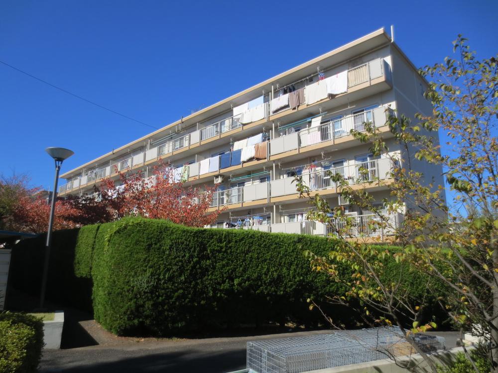 Local appearance photo. Local (11 May 2013) Shooting