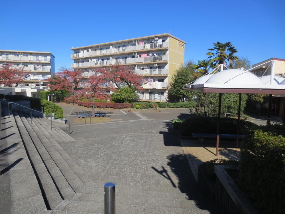 Other local. Local (11 May 2013) Shooting