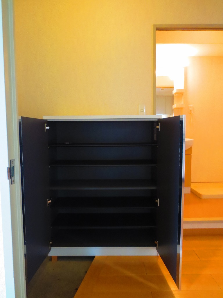 Entrance. Respectable shoe box installation ☆