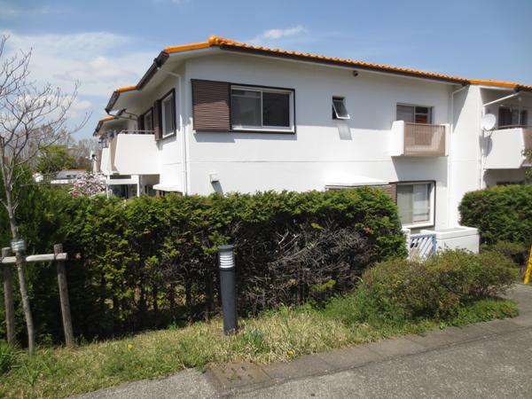 Local appearance photo. Local (April 2013) Shooting