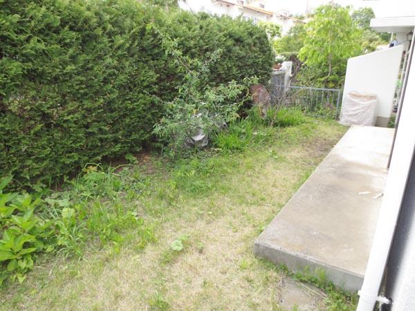 Garden. Garden with terrace