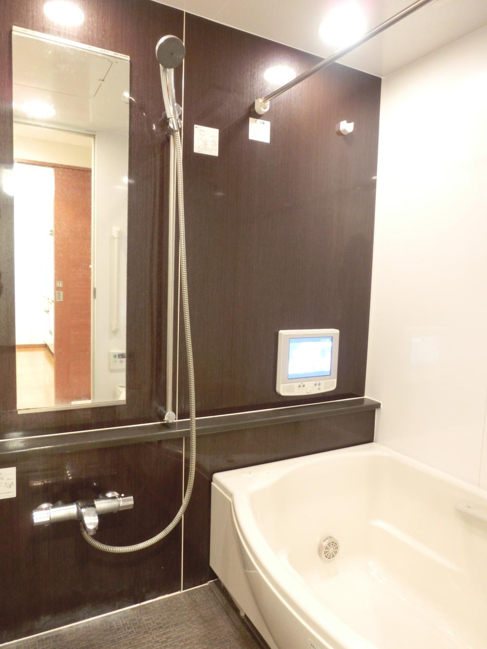 Bathroom. Indoor (12 May 2013) Shooting