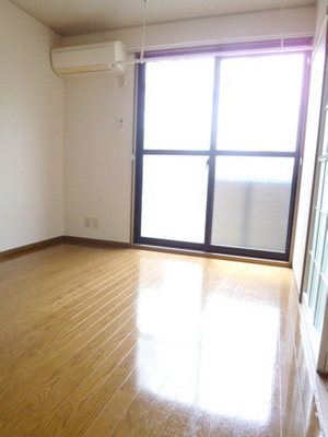 Living and room. Very beautiful Western-style