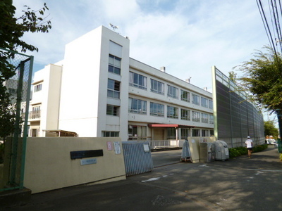 Primary school. 477m to Tama second elementary school (elementary school)