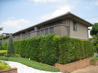 Building appearance. Sunny