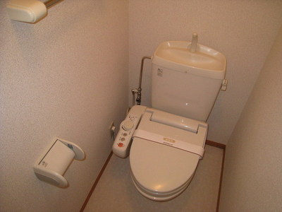 Toilet. Warm water washing toilet seat