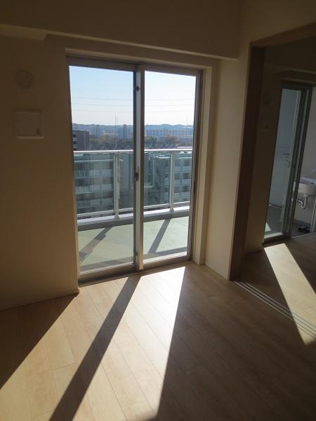 Non-living room. The south side is a 5 Pledge of Western-style.