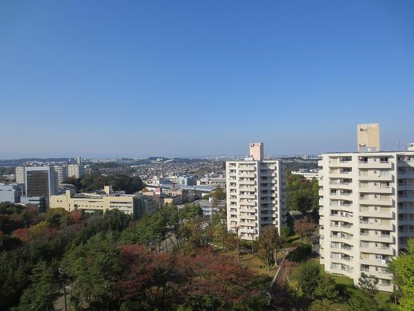 Other. View from the north side shared hallway.