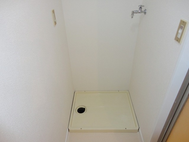 Washroom. Washing machine in the room