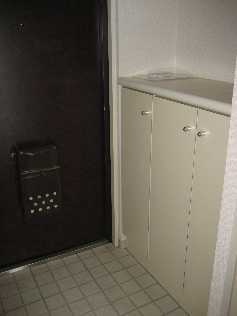 Entrance. Shoes with BOX