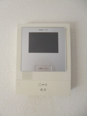 Security. Peace of mind in the TV monitor phone