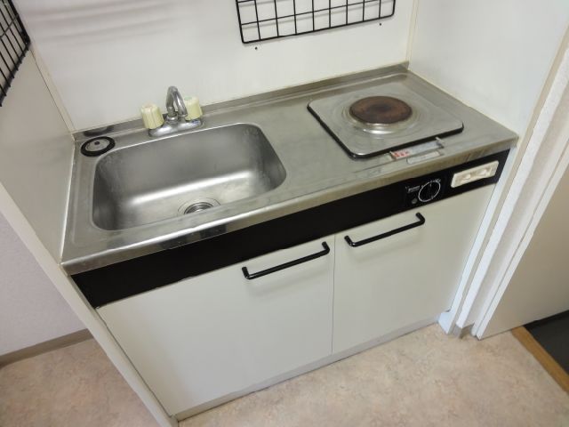 Kitchen. Sufficient mini-kitchen to living alone