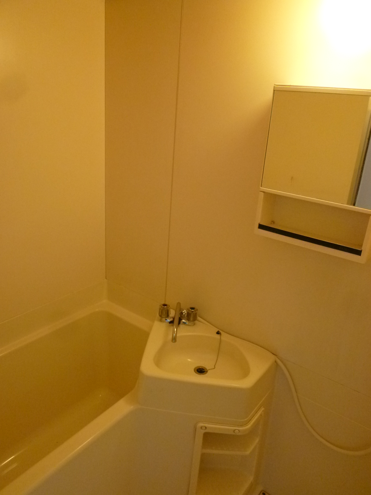 Bath. Bus is a toilet! 