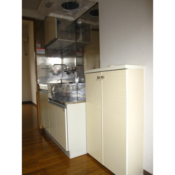 Kitchen. Gas stove installation type of kitchen. 