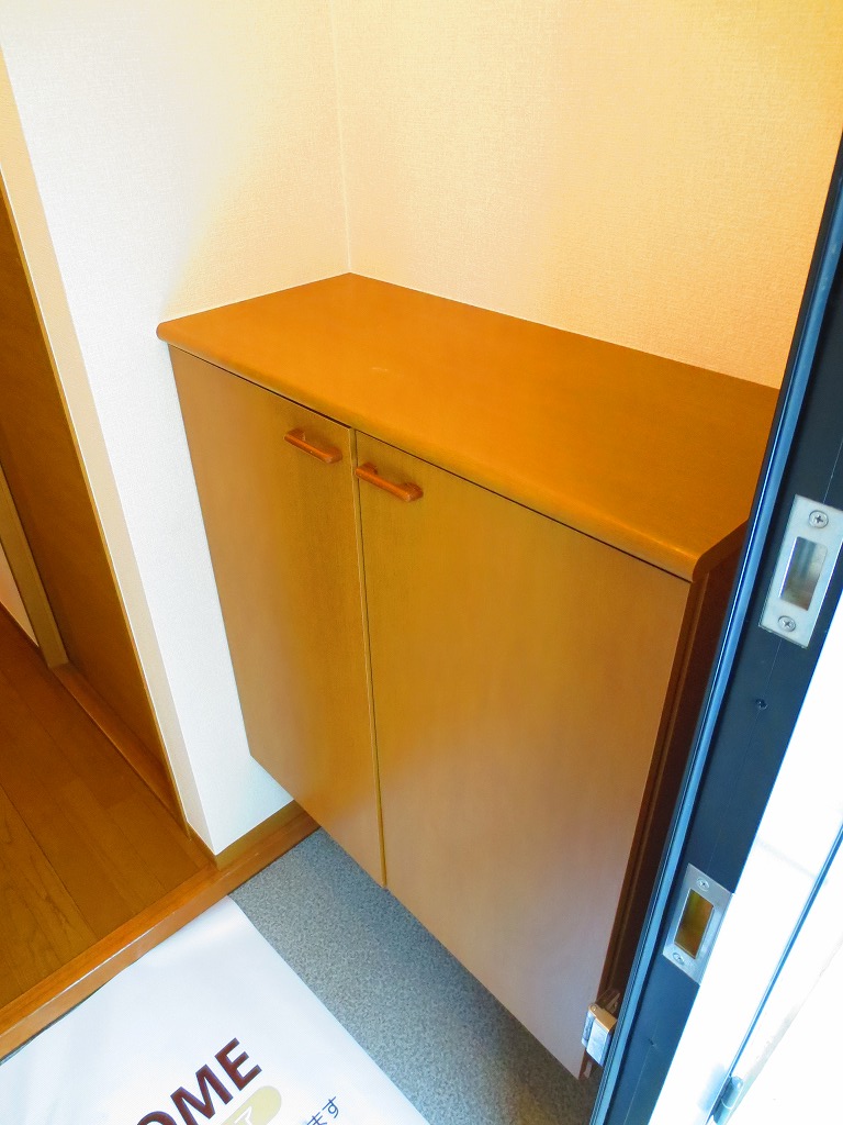 Entrance. With a shoe box