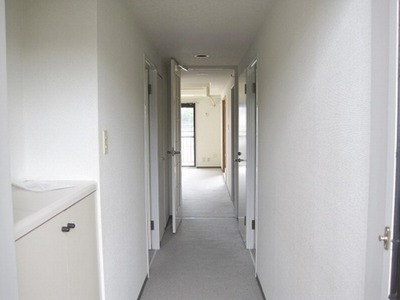 Entrance. Appearance from the front door