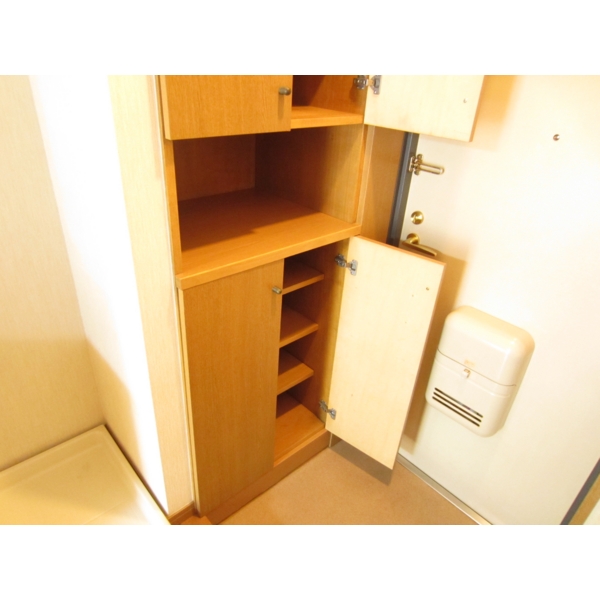 Entrance. Glad shoe box in the entrance side. It will put also key in the middle.