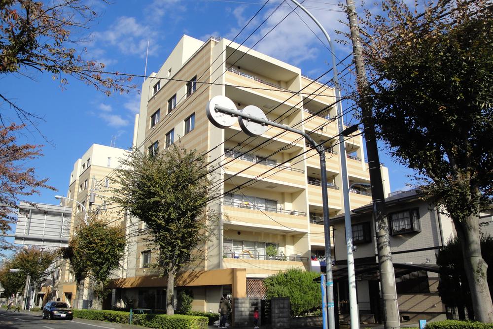 Local appearance photo. Local (12 May 2013) Shooting