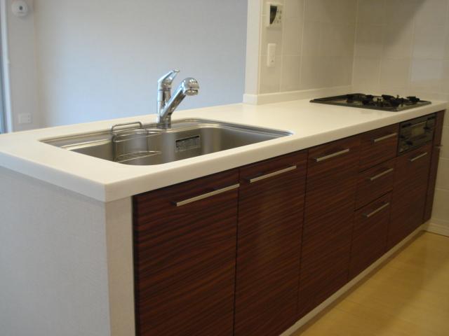 Kitchen. Indoor (12 May 2013) Shooting