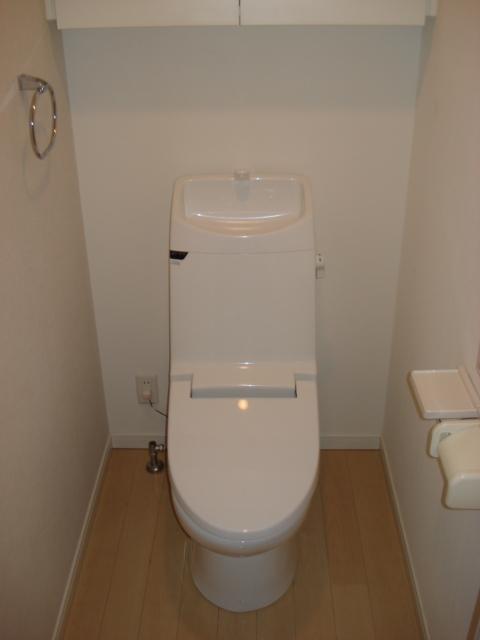 Toilet. Indoor (12 May 2013) Shooting