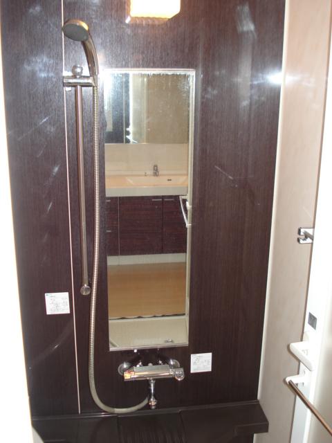 Bathroom. Indoor (12 May 2013) Shooting