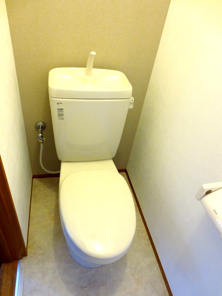 Toilet. It was renewed