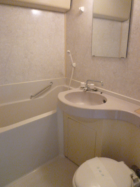 Bath. This large unit bus, such as a business hotel