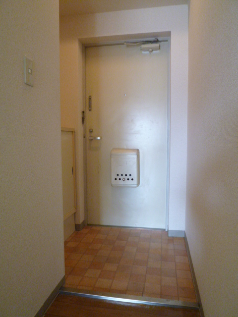 Entrance. It is the entrance space with a shoe box