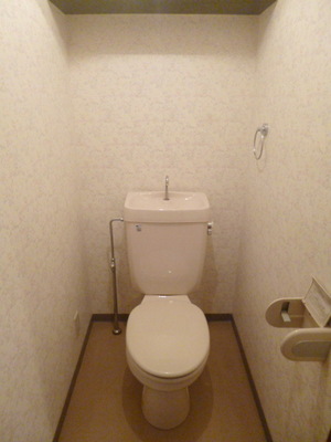 Toilet. Toilet with cleanliness
