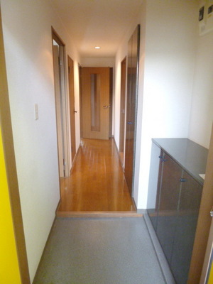 Entrance. Stylish cupboard