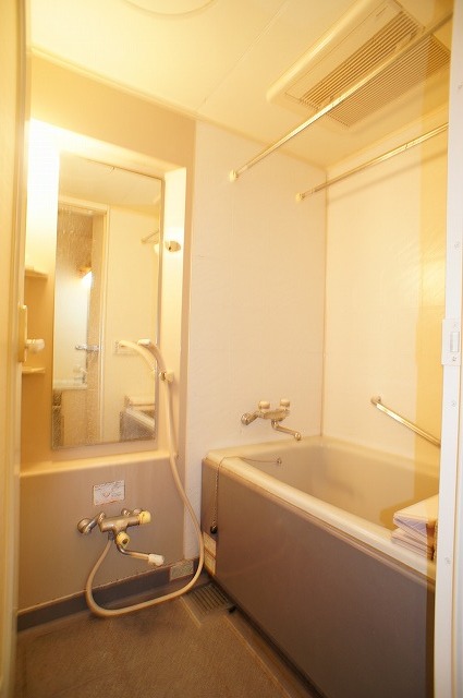 Bath. An elegant bath time in the big bath