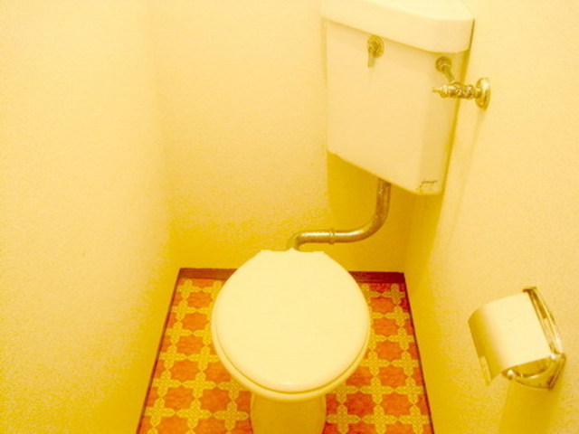 Toilet. Bus toilet by