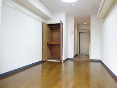 Living and room. Bright room