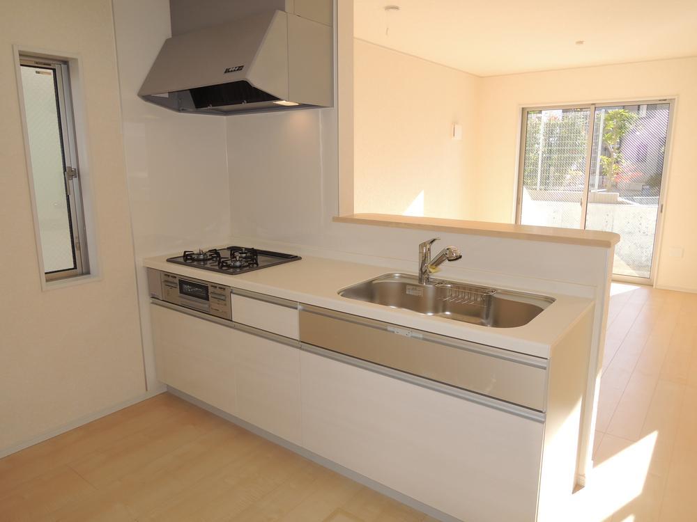 Kitchen. Indoor (12 May 2013) Shooting