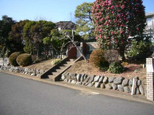 Local land photo. Appearance (1)