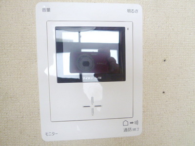 Security. TV monitor phone of peace of mind