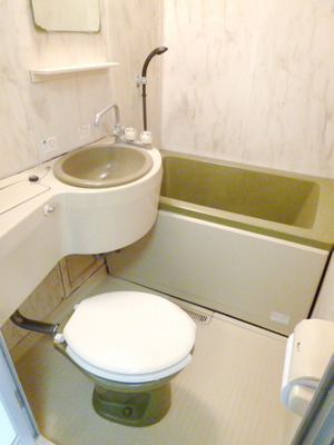 Bath. Stylish design in the unit bus