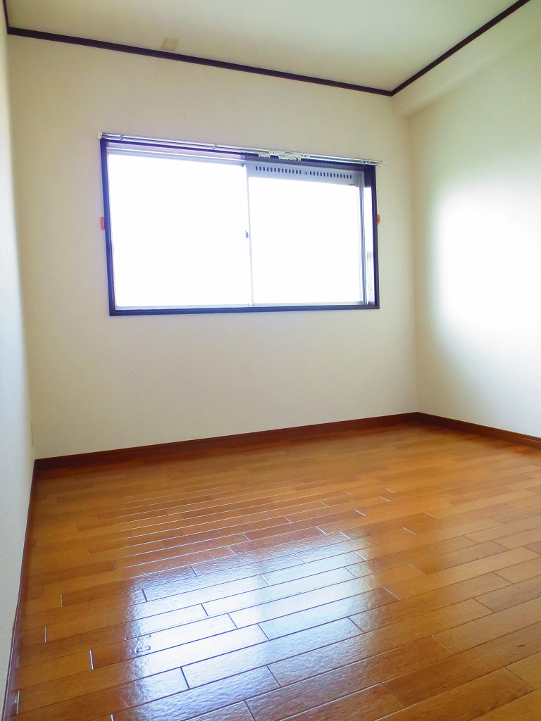 Living and room. Cleaning of Ease flooring