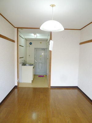 Living and room. Bright room. 